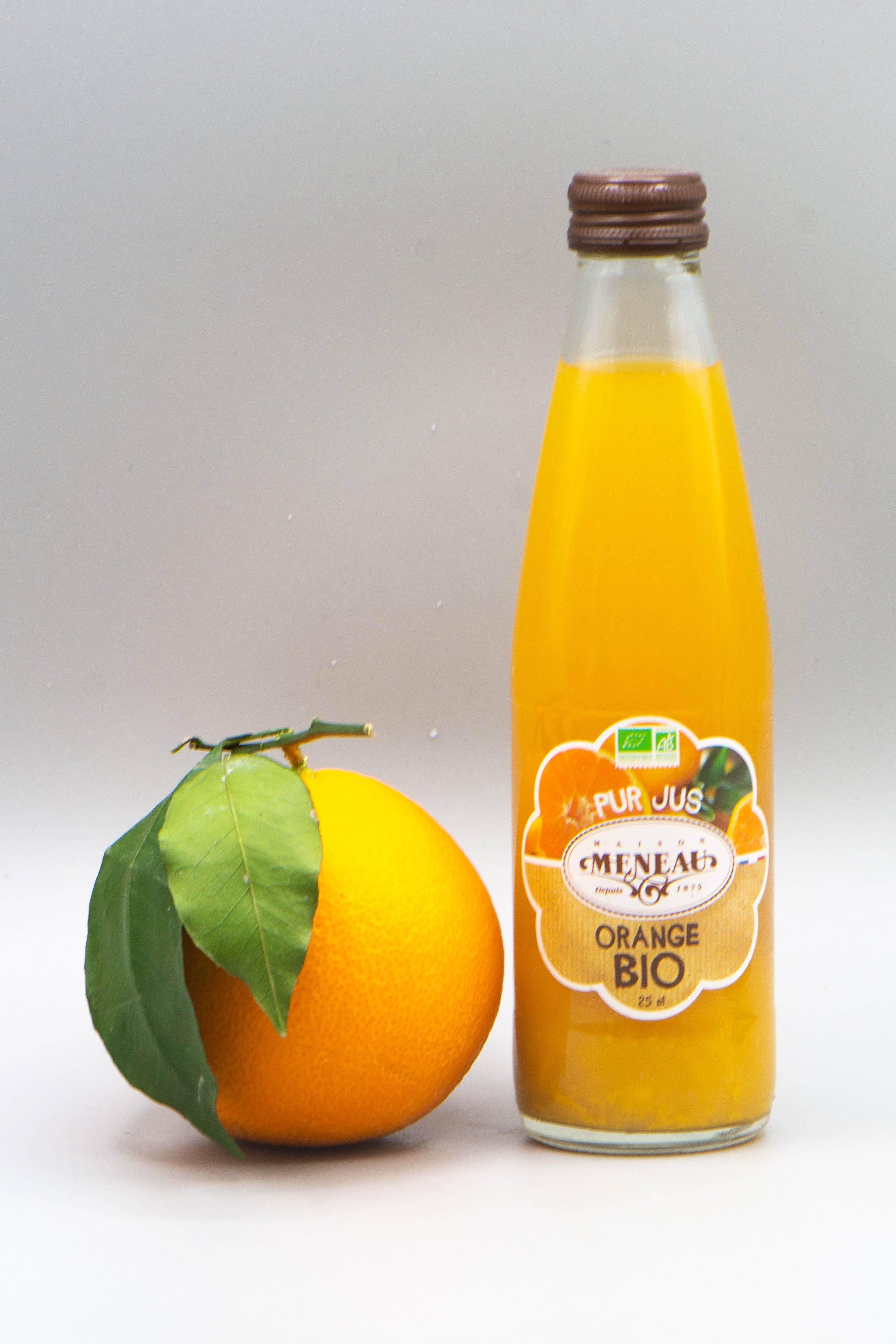 Native - Wholesale Fruit Juice - Meneau Orange juice glass1