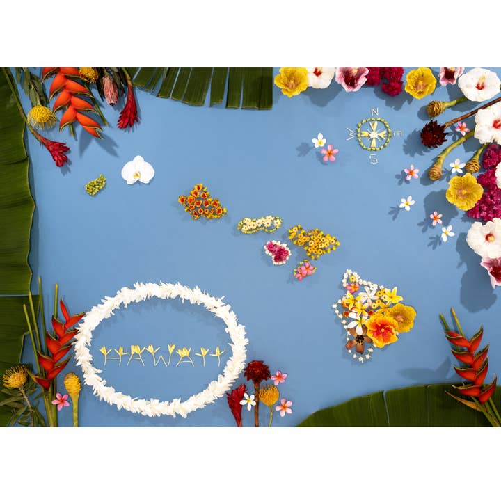"Hawai'i" - Mapa de Flores por atacado de Lola Pilar Hawaii