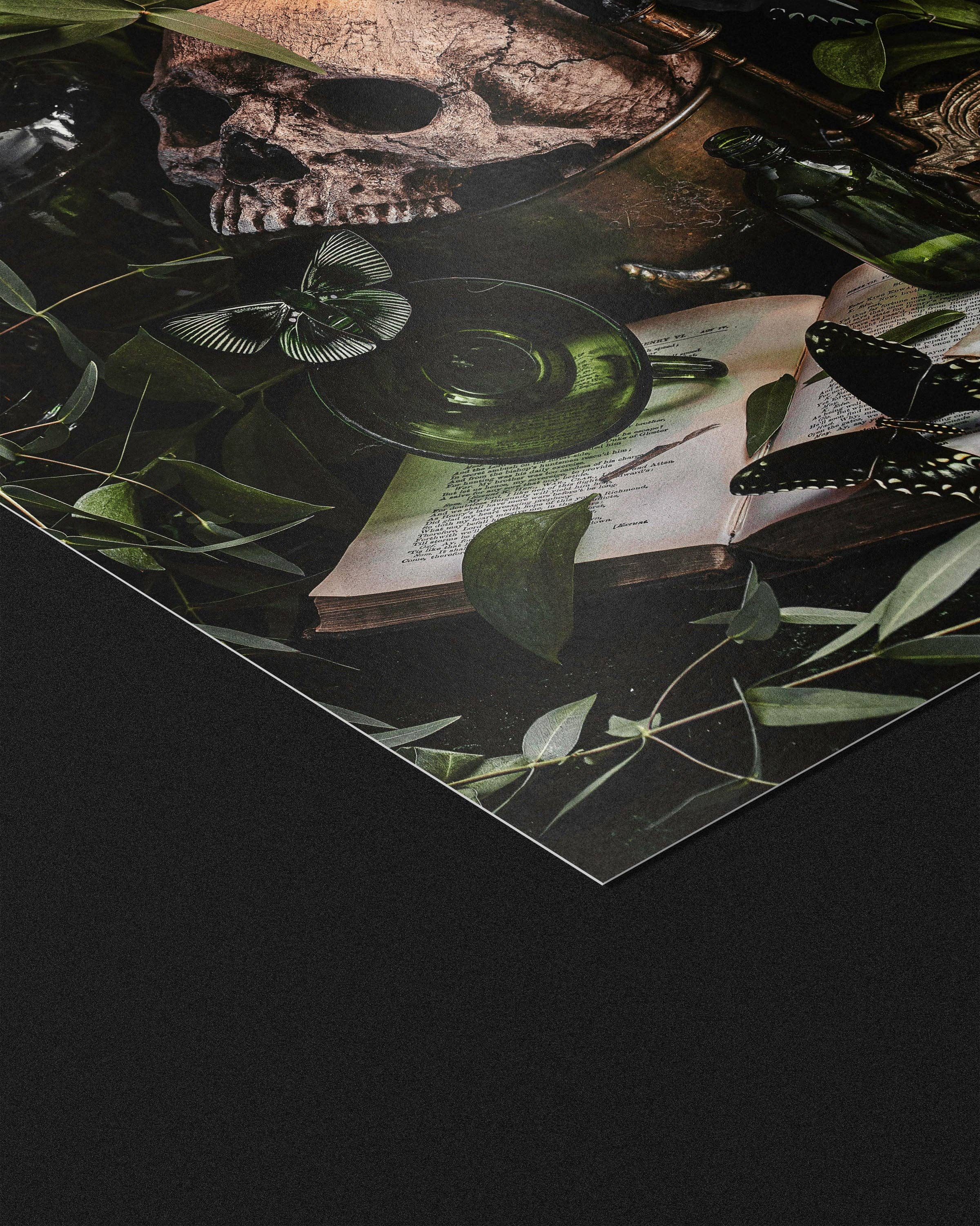 Alyssa Thorne - Wholesale Art Print - Poison Study | Art Print | Green Witch Still Life2