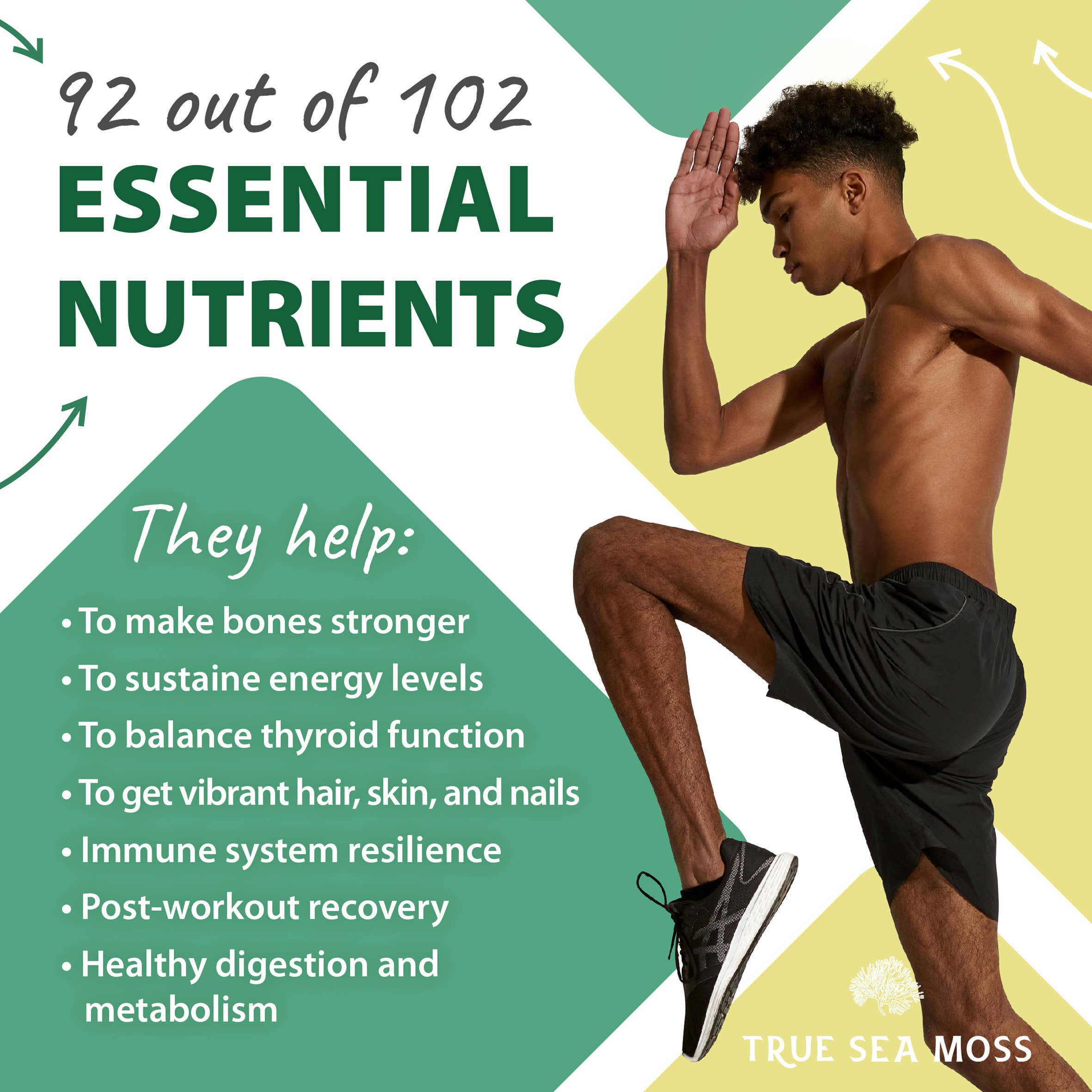 TrueSeaMoss - Vente Supplément oral/vitamine - MOUSSE DE MER CRUE FABRIQUÉE6