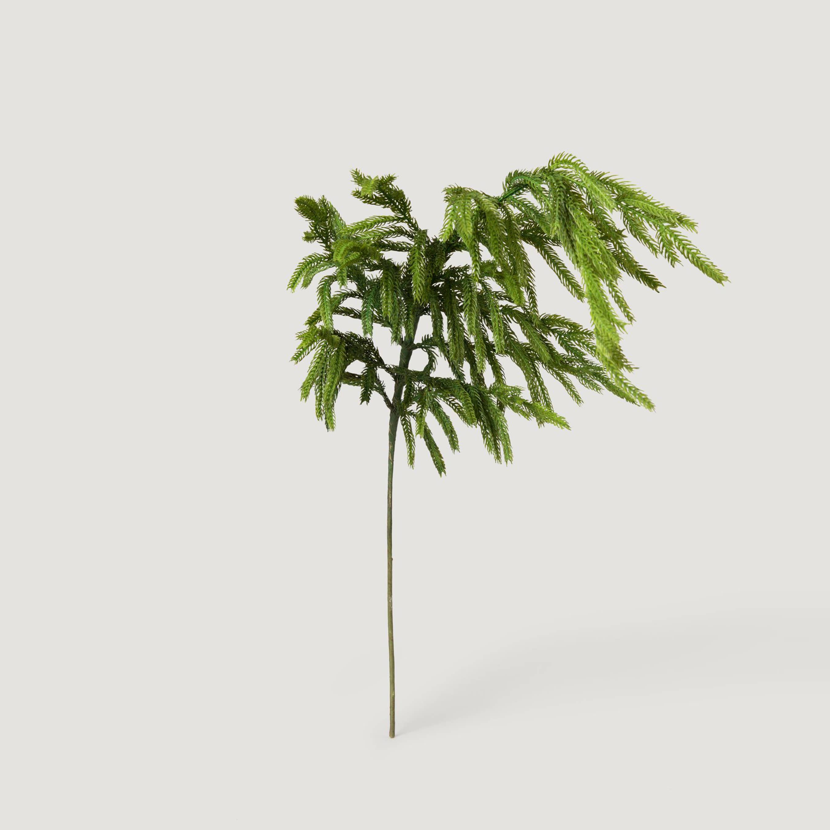Afloral - Wholesale Artificial Plant - Afloral™ Real Touch Norfolk Pine Branch - 36"1