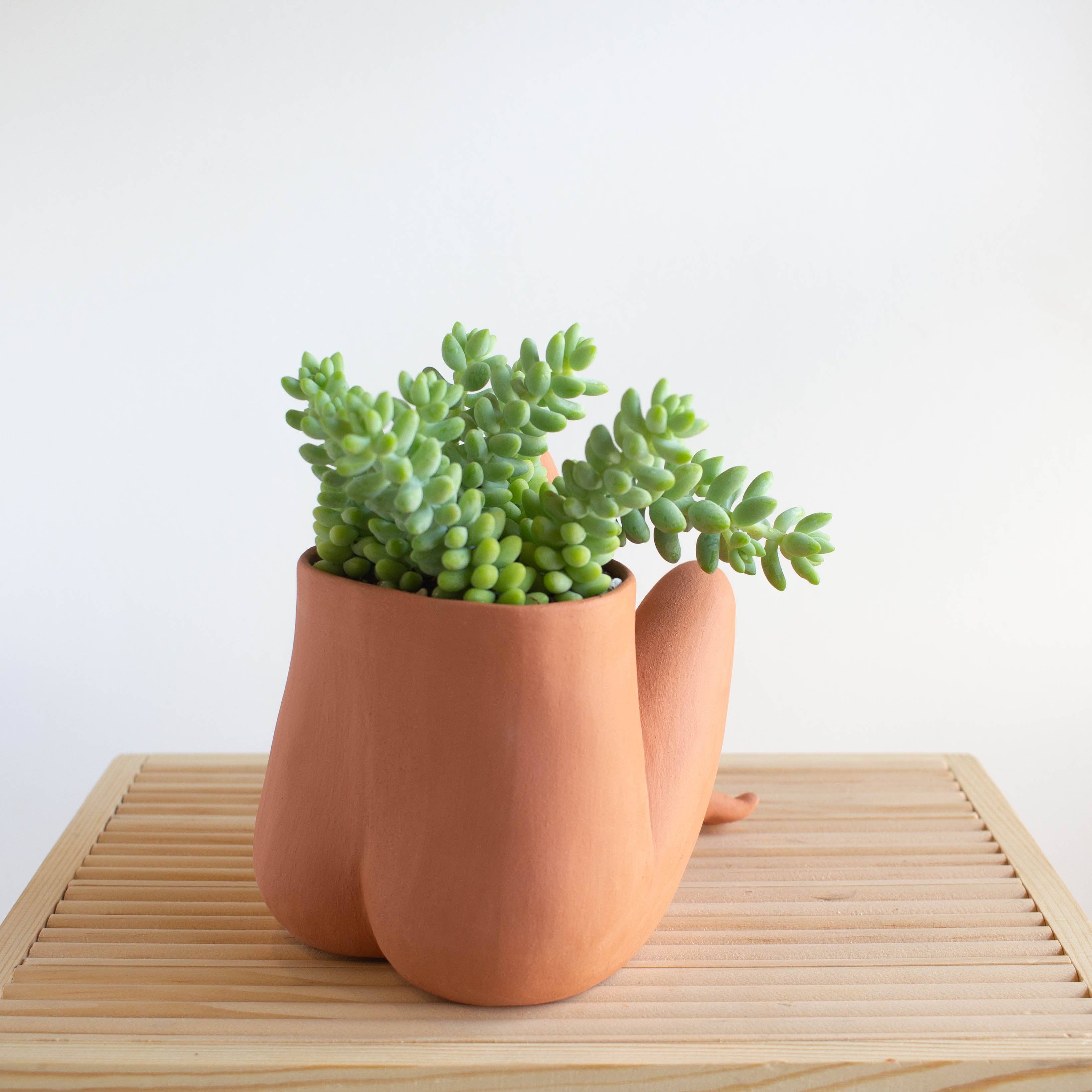 Doma Studios - Wholesale Plant Pot - Crossed Leggy - Terracotta1