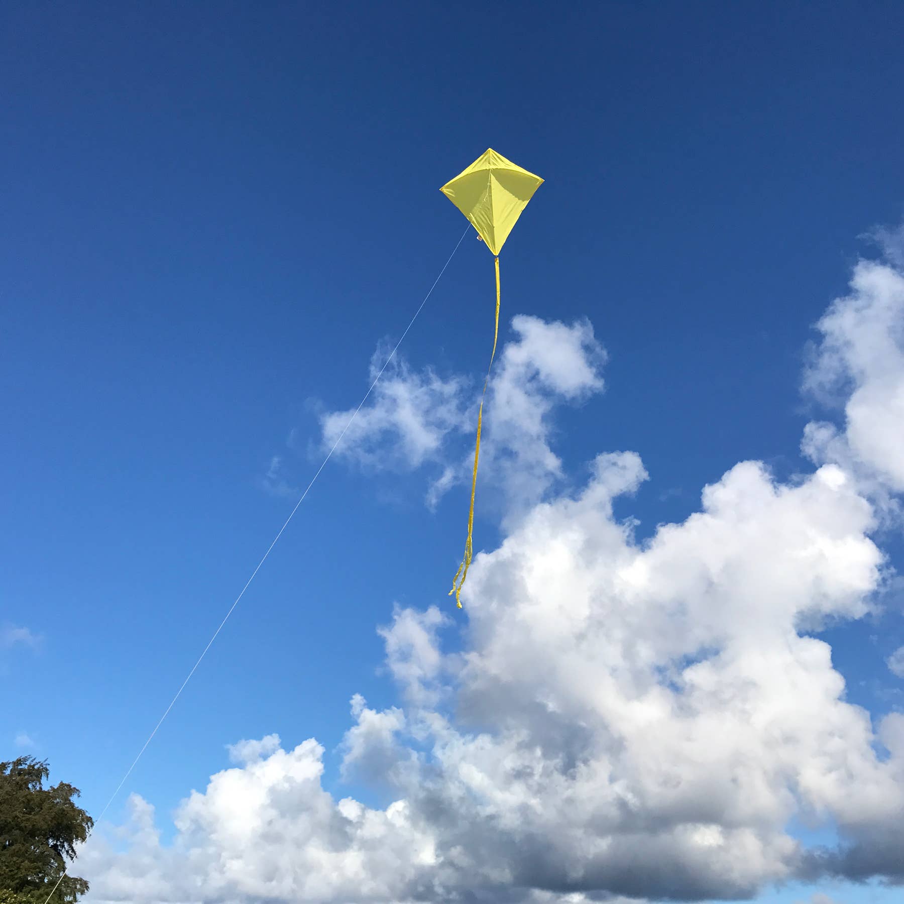 In the Breeze, LLC. - Vente Cerf-volant - Cerf-volant Diamant Jaune Colorfly 30"2