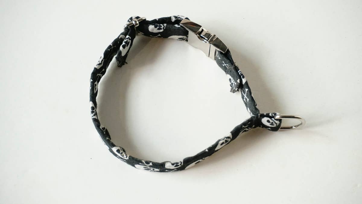 hundsfutter - Wholesale Pet Collar - Dog - Small collar for dogs with skulls3