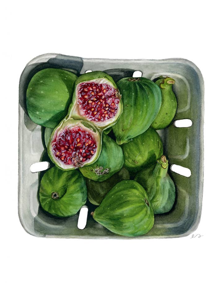 Figs - Watercolor Fine Art Print - Farmers Market for wholesale by Art by Emma Lian