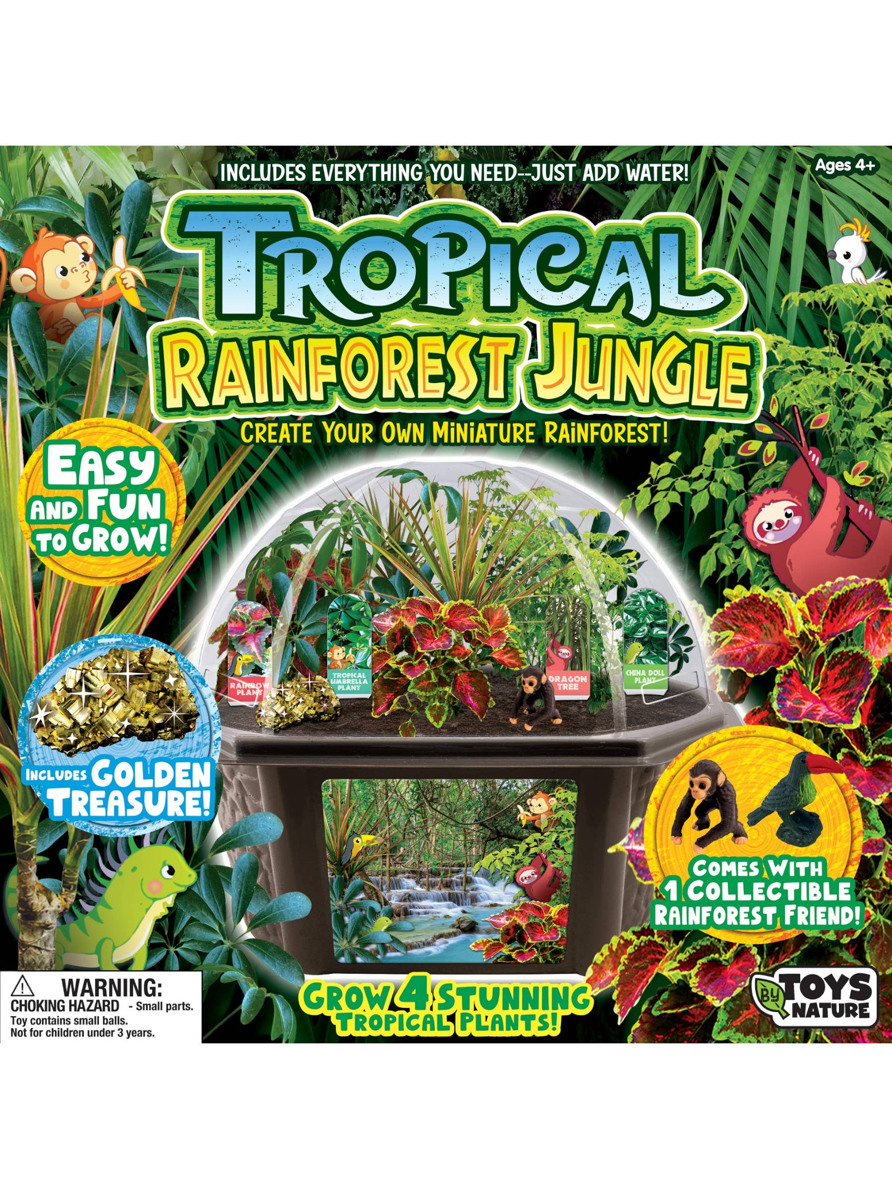 Silver Circle Products - Vente Kit de bricolage – enfant - Terrarium de biosphère de jungle de forêt tropicale