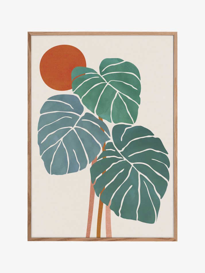 Monstera und Sonnenschein für den Großhandel von Pictufy Wholesale