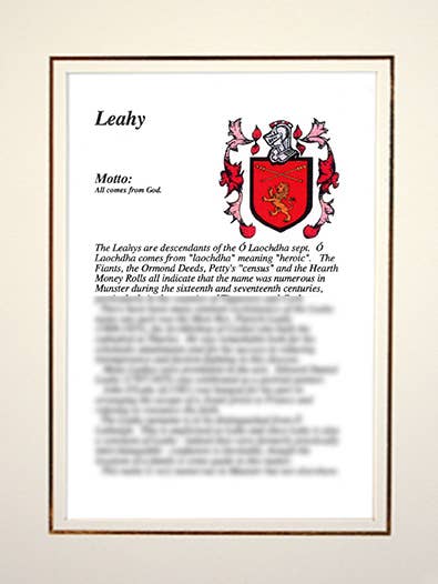 Leahy for wholesale by Family Histories