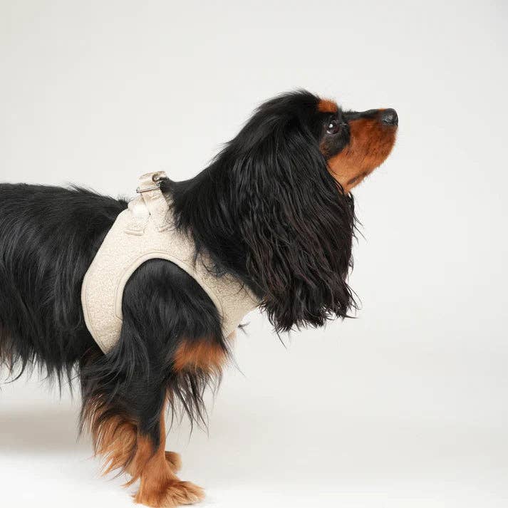 Staey - Wholesale Pet Harness - Dog - Teddy Step-In Dog Harness | Nature1
