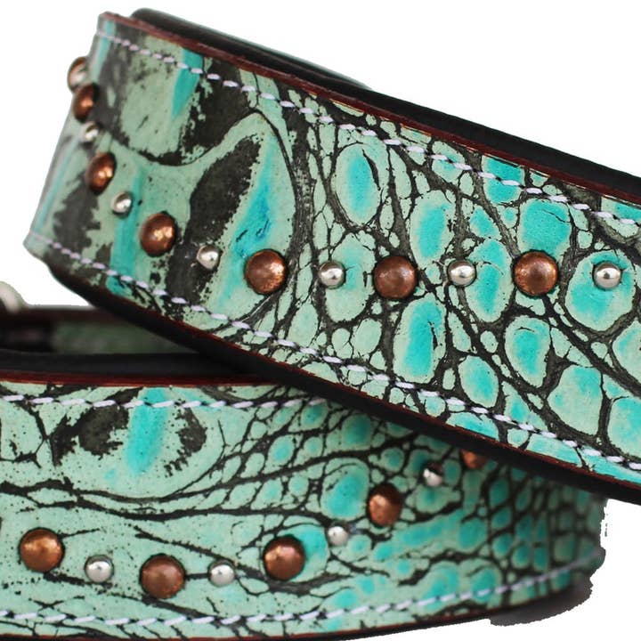 Collier pour chien et chiot en cuir de vache véritable, rembourré, turquoise, Gator 60109 pour la vente par Challenger