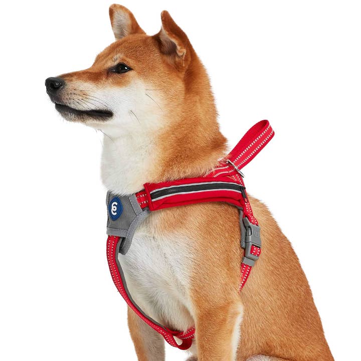Blueberry Pet - Wholesale Pet Harness - Dog - Better Basics Reflective Dog Harness with Treat Pocket