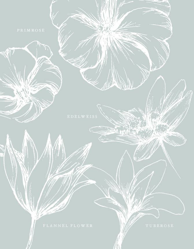 ROCKPOOL PUBLISHING - Wholesale Reference - Flowerpaedia: 1000 Flowers and Their Meanings3