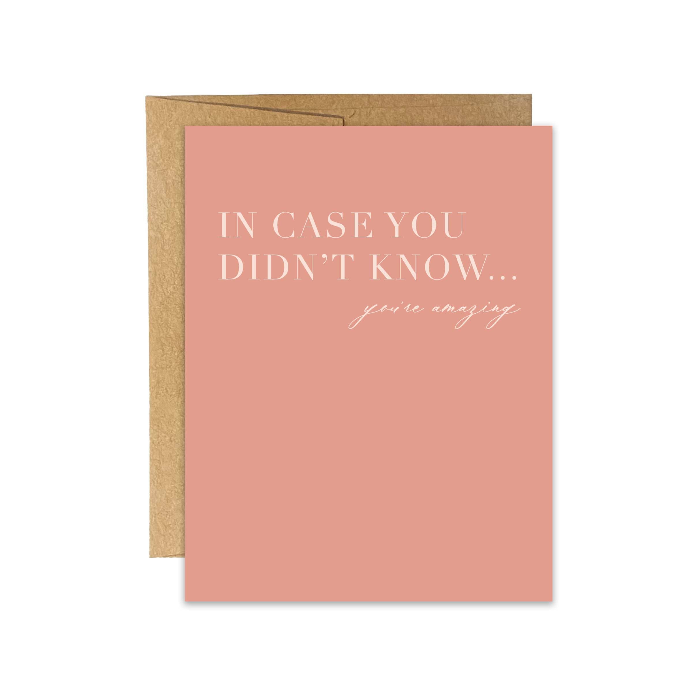 Blú Rose - Wholesale Encouragement Card - In Case You Didn't Know Appreciation Greeting Card3