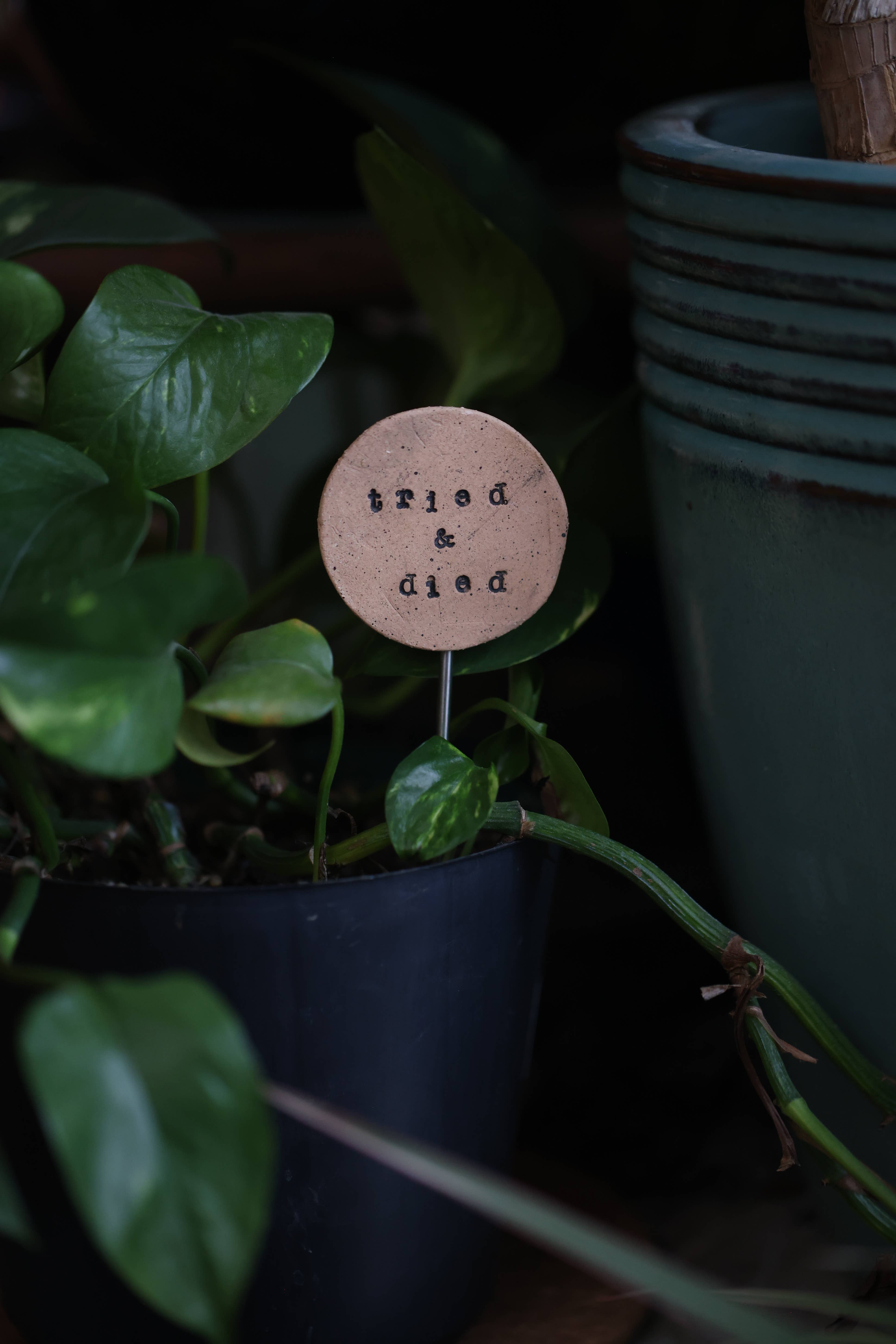 Mud & Maker - Wholesale Garden/Lawn Stake - Plant Buddies - Text - Tried & Died