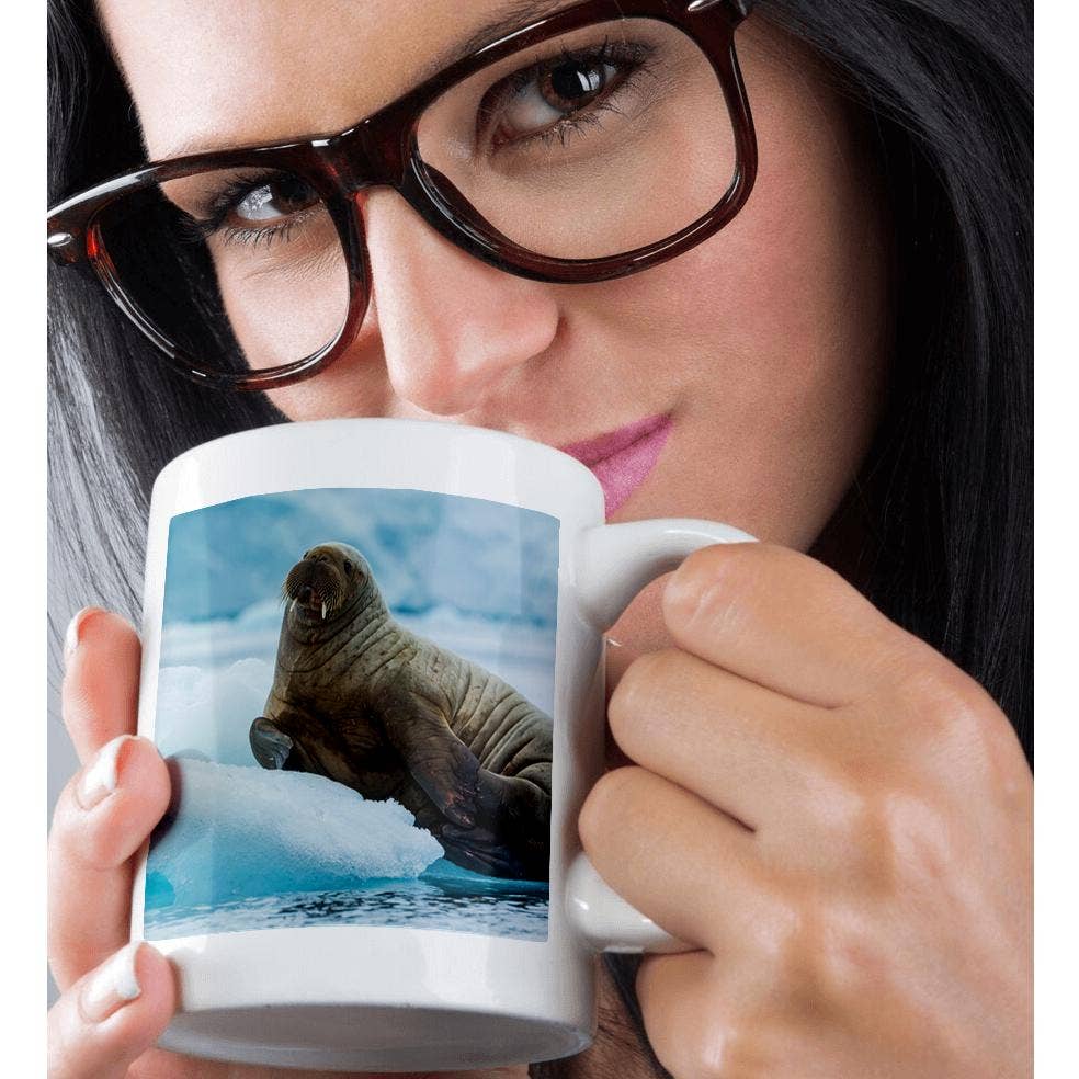 3dRose - Wholesale Coffee Mug - 3dRose, Norway. Svalbard. Brasvelbreen. Atlantic walrus resting on ice floe, Mug9