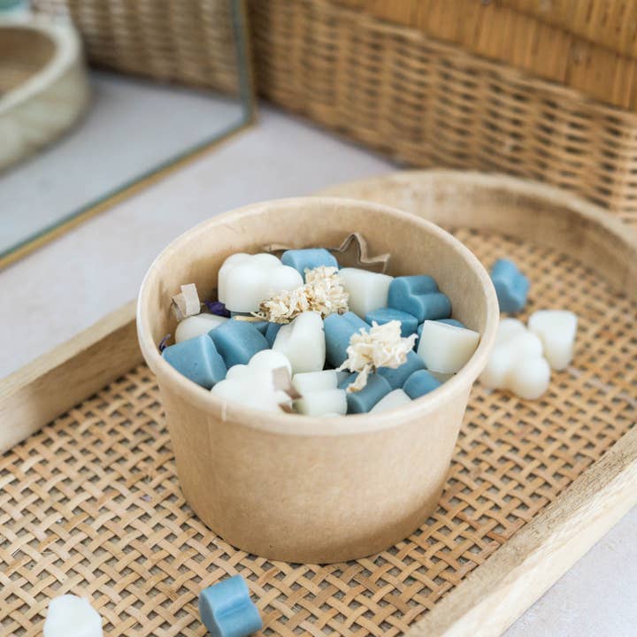 Leaves & Co – wholesale Wax melt – Box of mini wax melts with Fleur de Lin scented wax