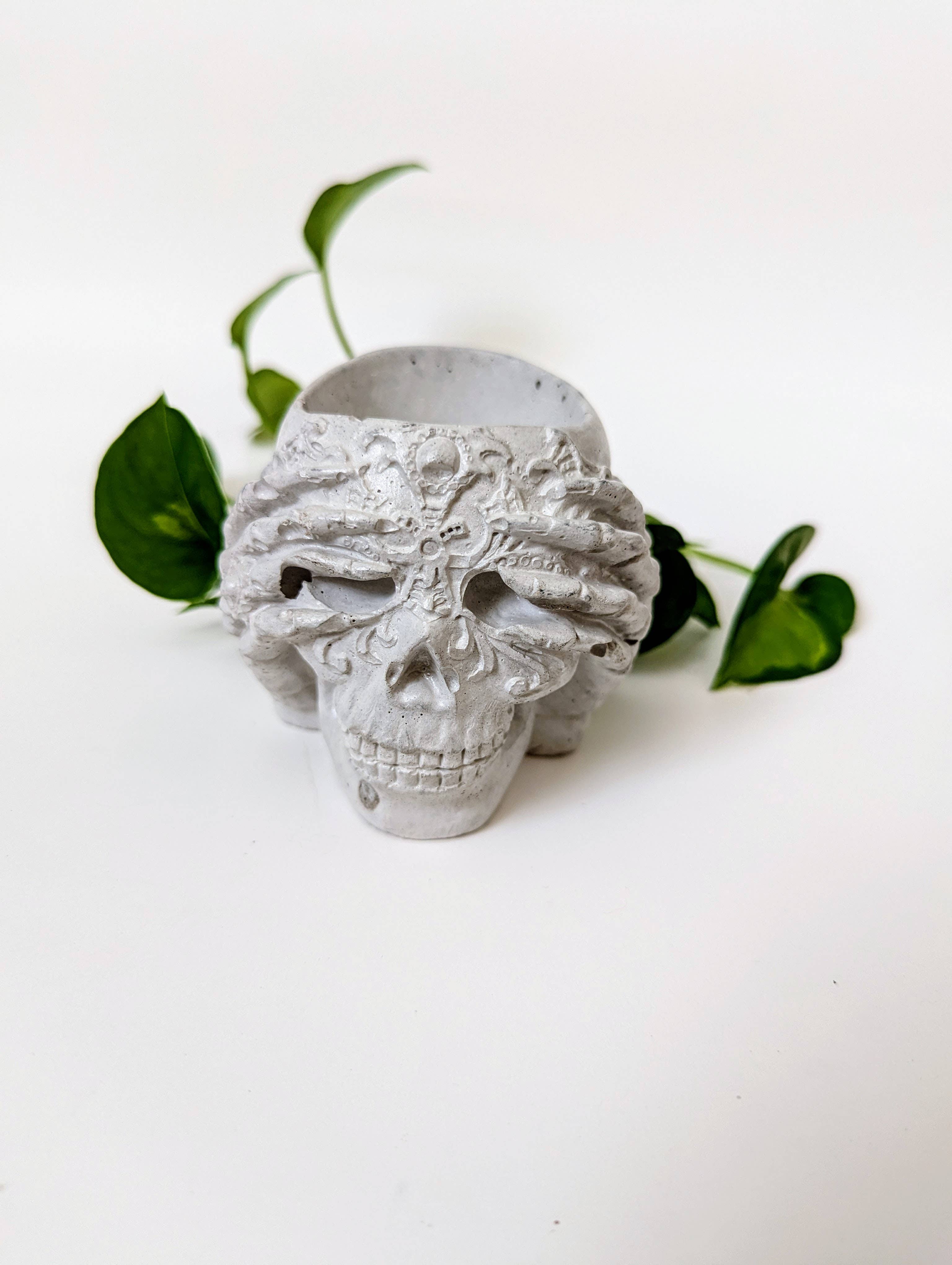 ForgottenProperty - Wholesale Plant Pot - Concrete Geometric Skull Air Plant Holder