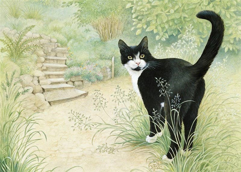 Natural Partners Limited – wholesale Everyday greeting card – Greeting Card Chesterton in the Garden0