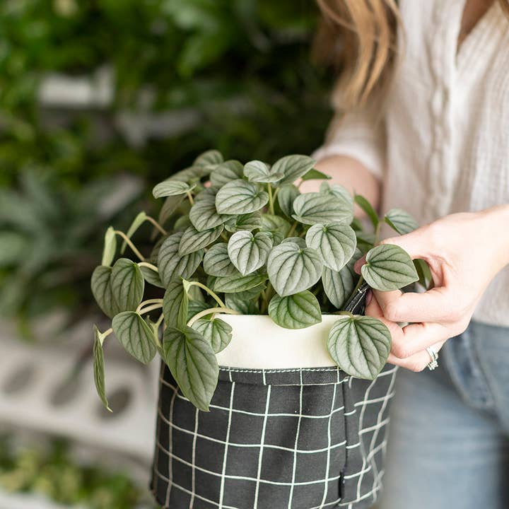 MAIKA - Vente Bacs de rangement - Seau, Belvedere, moyen1