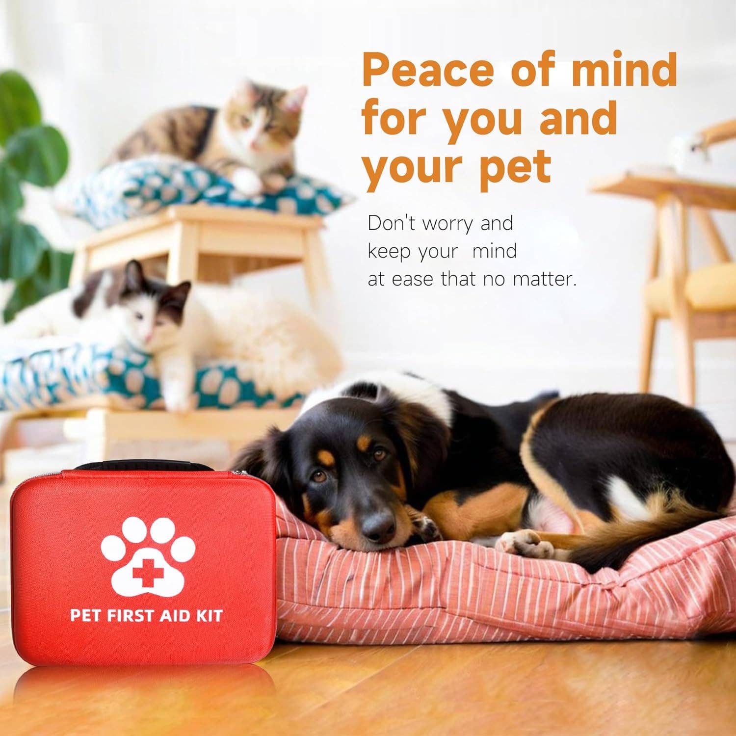 VIGOR - Vendita all'ingrosso Kit di pronto soccorso - Kit di primo soccorso per cani: l’essenziale di emergenza per il tuo migliore amico2
