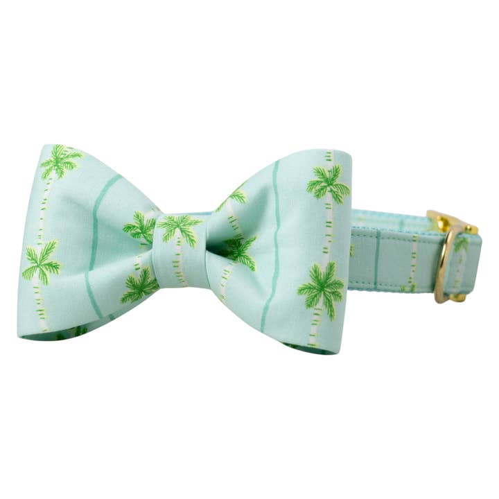 Palm Springs Bow Tie Dog Collar for wholesale by Crew LaLa