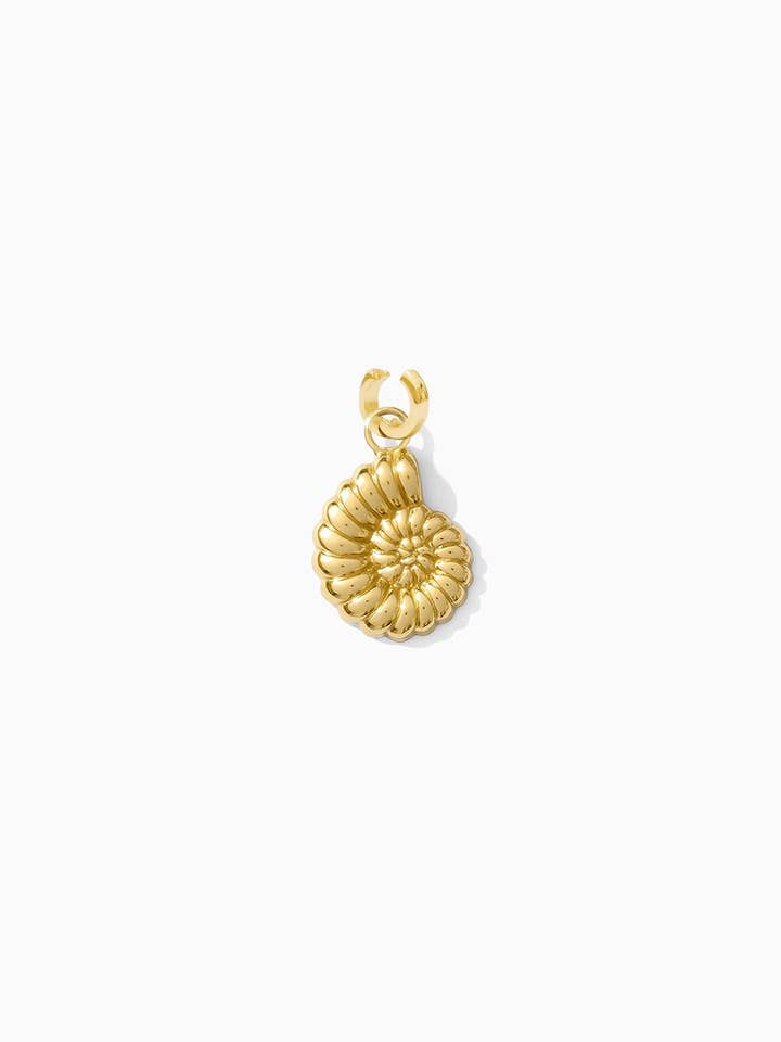 Golden Shore Shell Clarke Charm for wholesale by Everly Made