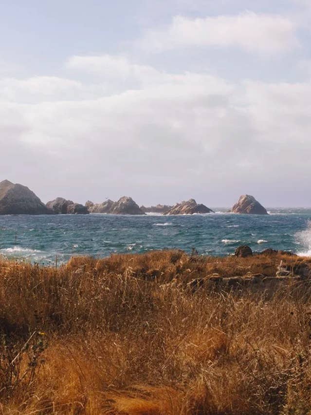 Kust nr 6 för wholesale av Wilder California