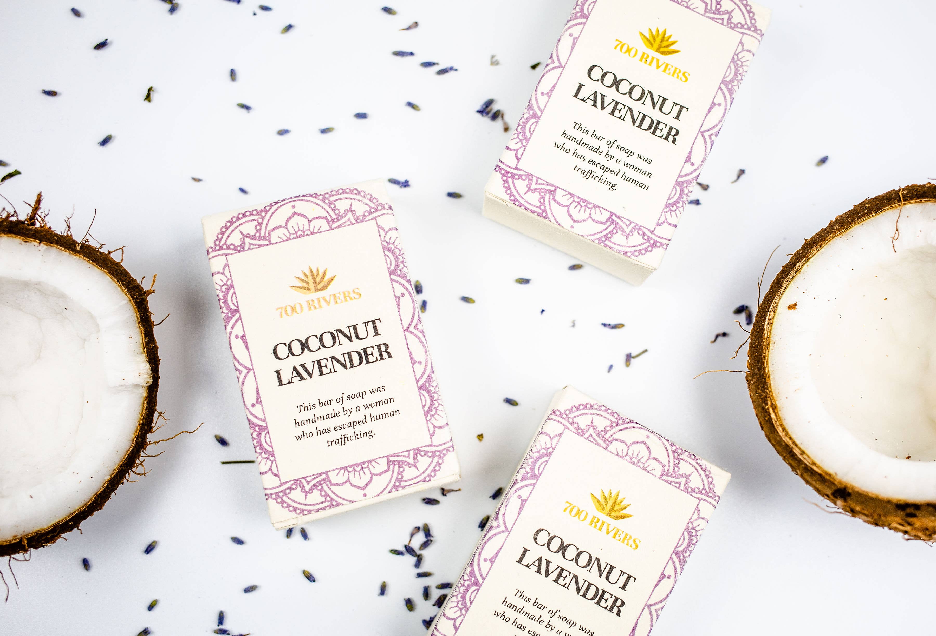 700 Rivers - Wholesale Bar Soap - Coconut Lavender Soap Bar | Holiday Gift | Stocking Stuffer 2