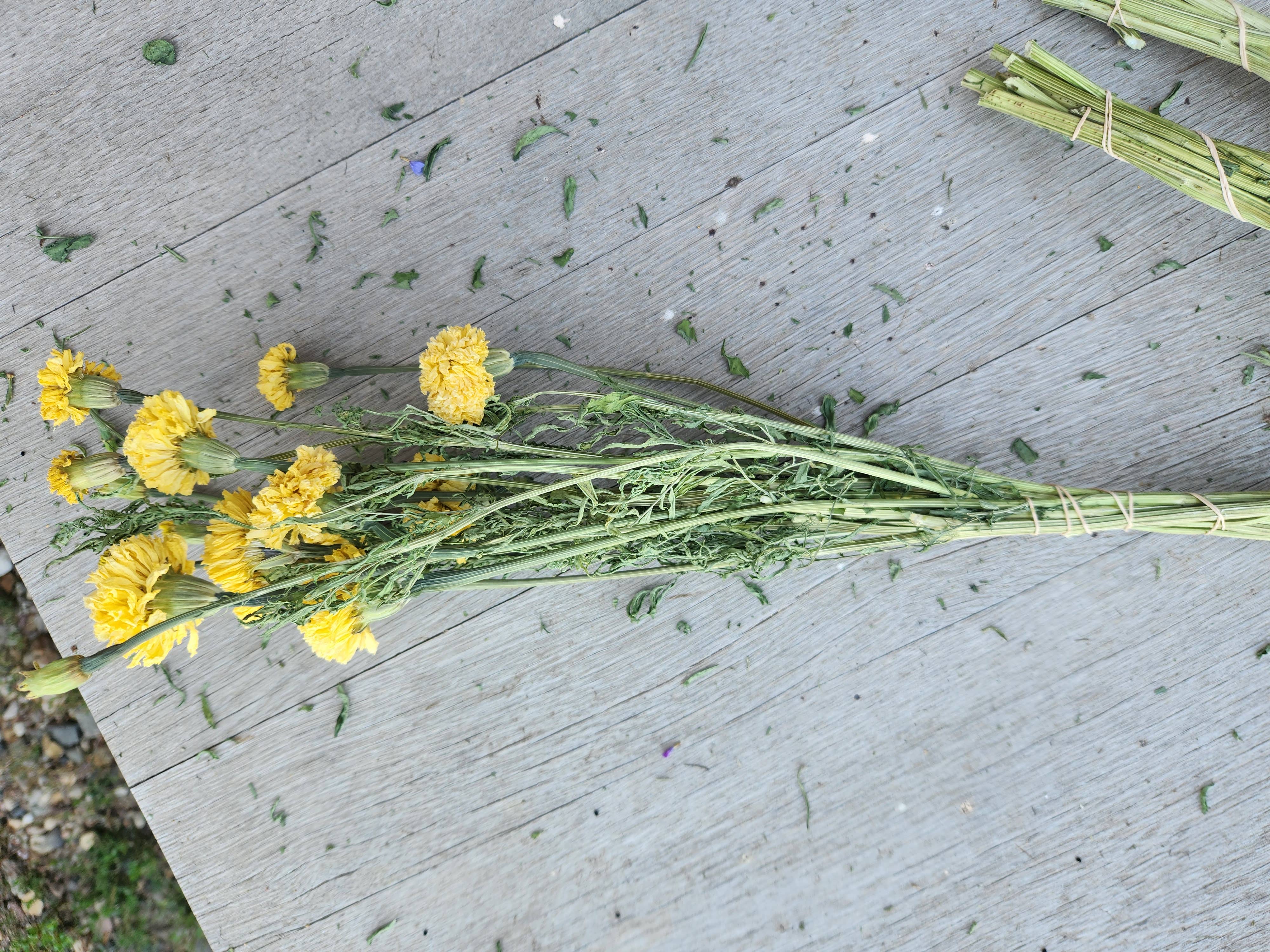 Alissas Flower Farm - Vente Fleur séchée/pressée - Soucis séchés3