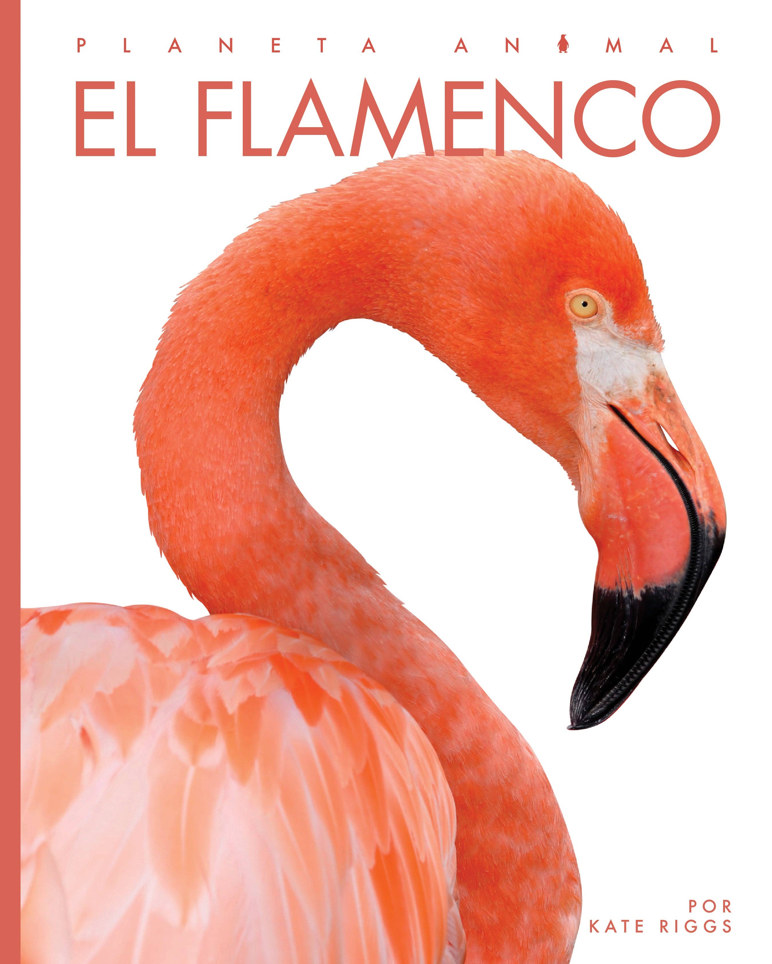 The Creative Company - Wholesale Nature & Outdoors - Planeta animal: El flamenco0