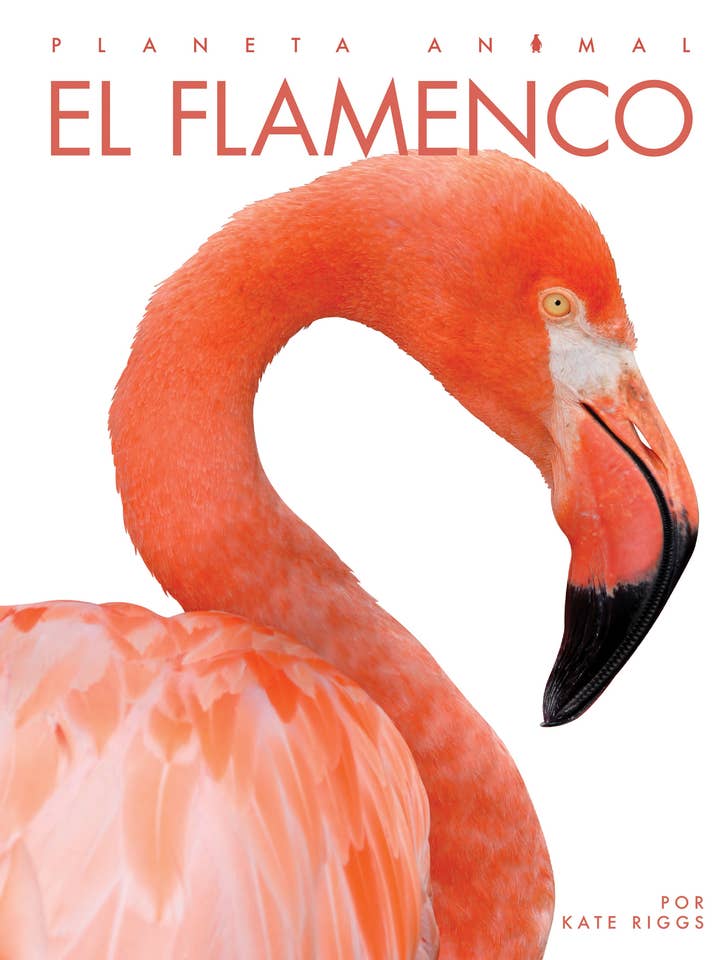 Dierenplaneet: De flamingo voor wholesale door The Creative Company