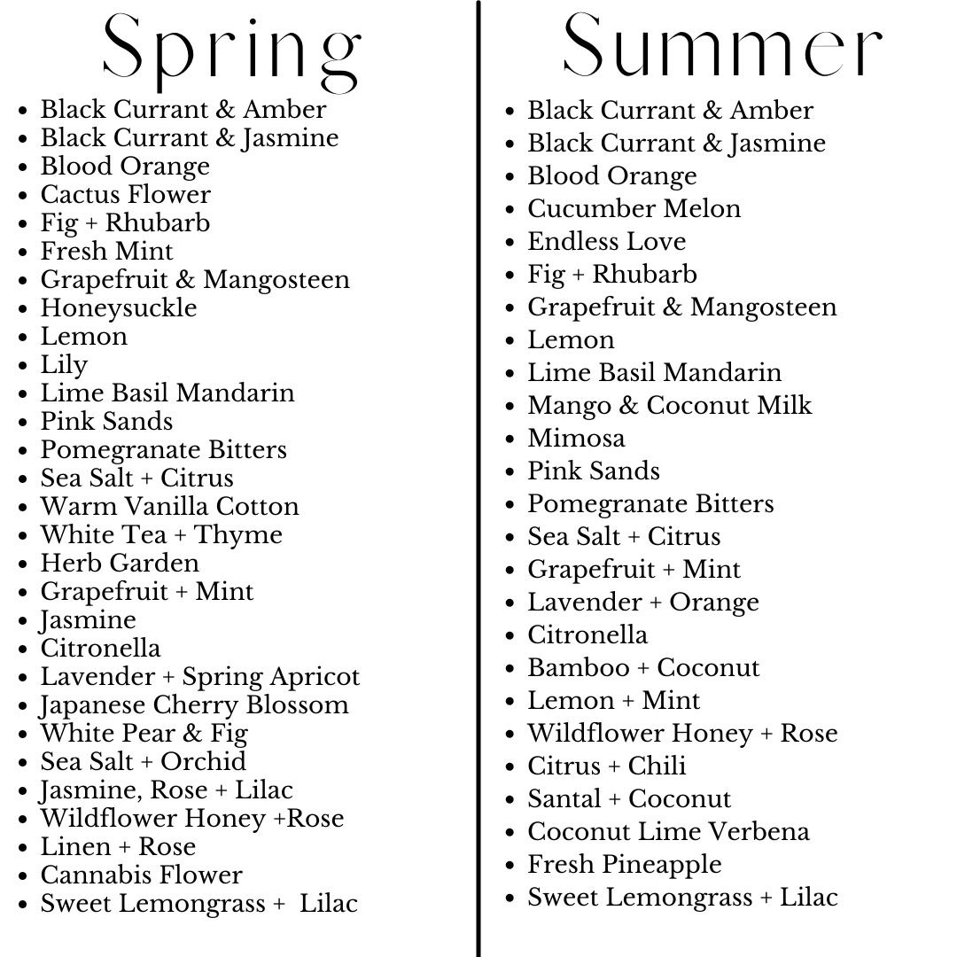 River Birch Candles - Wholesale Tea Light Candles - Tea Light Sample2