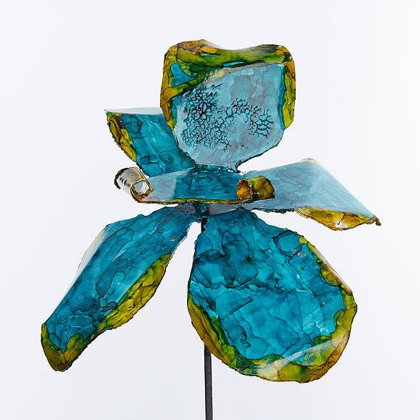 Groenblauw gele orchidee voor wholesale door Bobbianne's Flowers