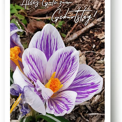 Compleanno/Biglietto d'auguri/519534 per la vendita all'ingrosso da parte di Yabué