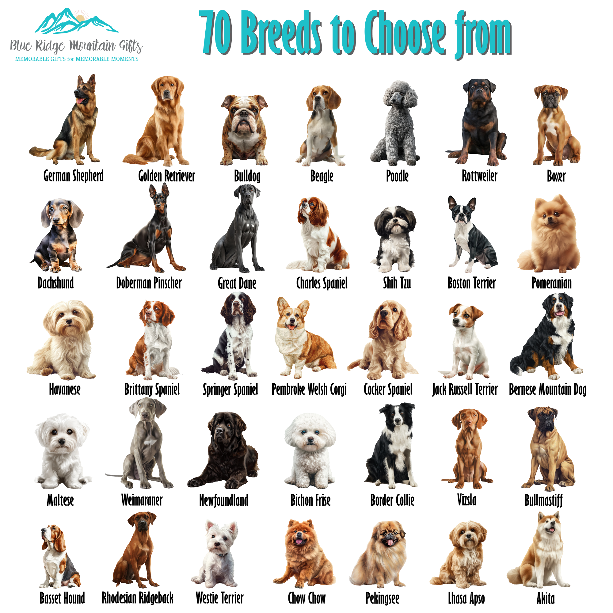 Blue Ridge Mountain Gifts - Wholesale Coasters - Bull Terrier Ceramic Coaster – 70 Breeds Available3