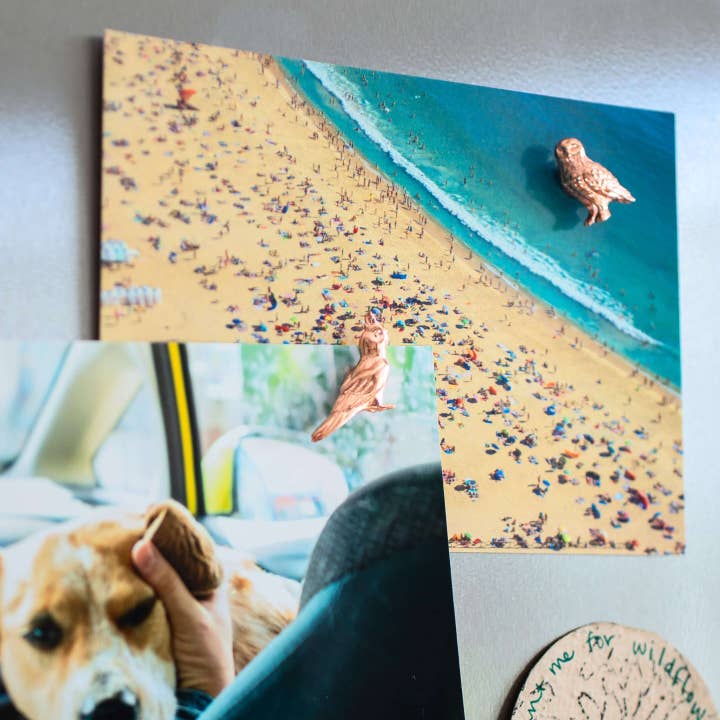 Three by Three Seattle - Wholesale Magnet - cast metal bird magnets1