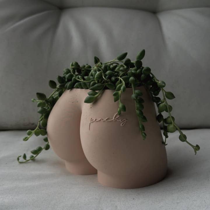 Peachy Pilea - Wholesale Plant Pot - Peachy Tattoo Cheeky Planter | More Colors Available