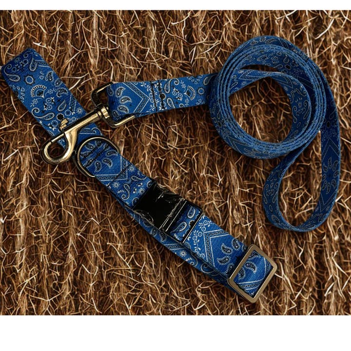 Multi Colored Handmade dog collars for wholesale on Faire2