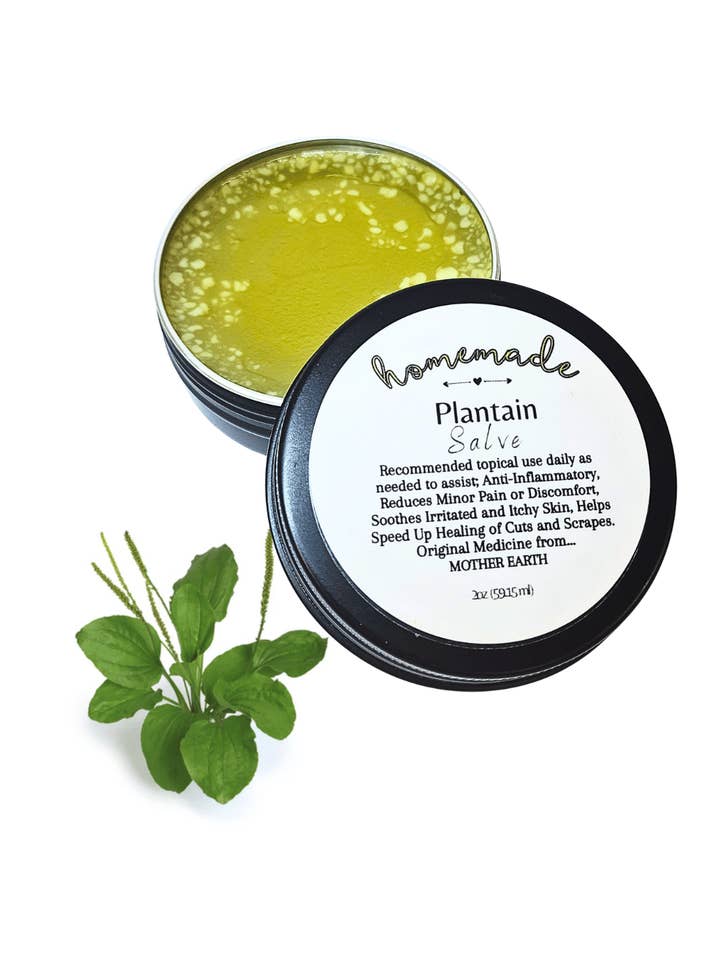 Organic Plaintain Salve 2oz for wholesale by Know; Body Botanicals & Apothecary, LLC