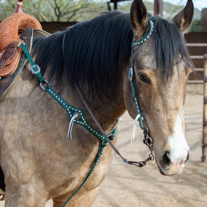 Green Leather Headstall and Breast Collar Set (Copy) for wholesale by Schulz Equine
