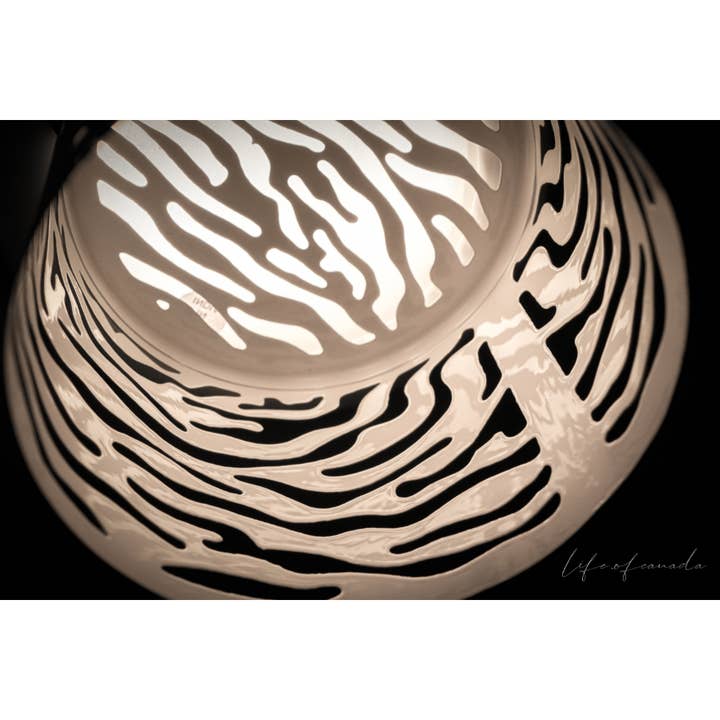 O'Nuda! - Wholesale Chandelier/Hanging Light - O'Llumi /Zebra/White /Creative Recessed Downlight Crowns
