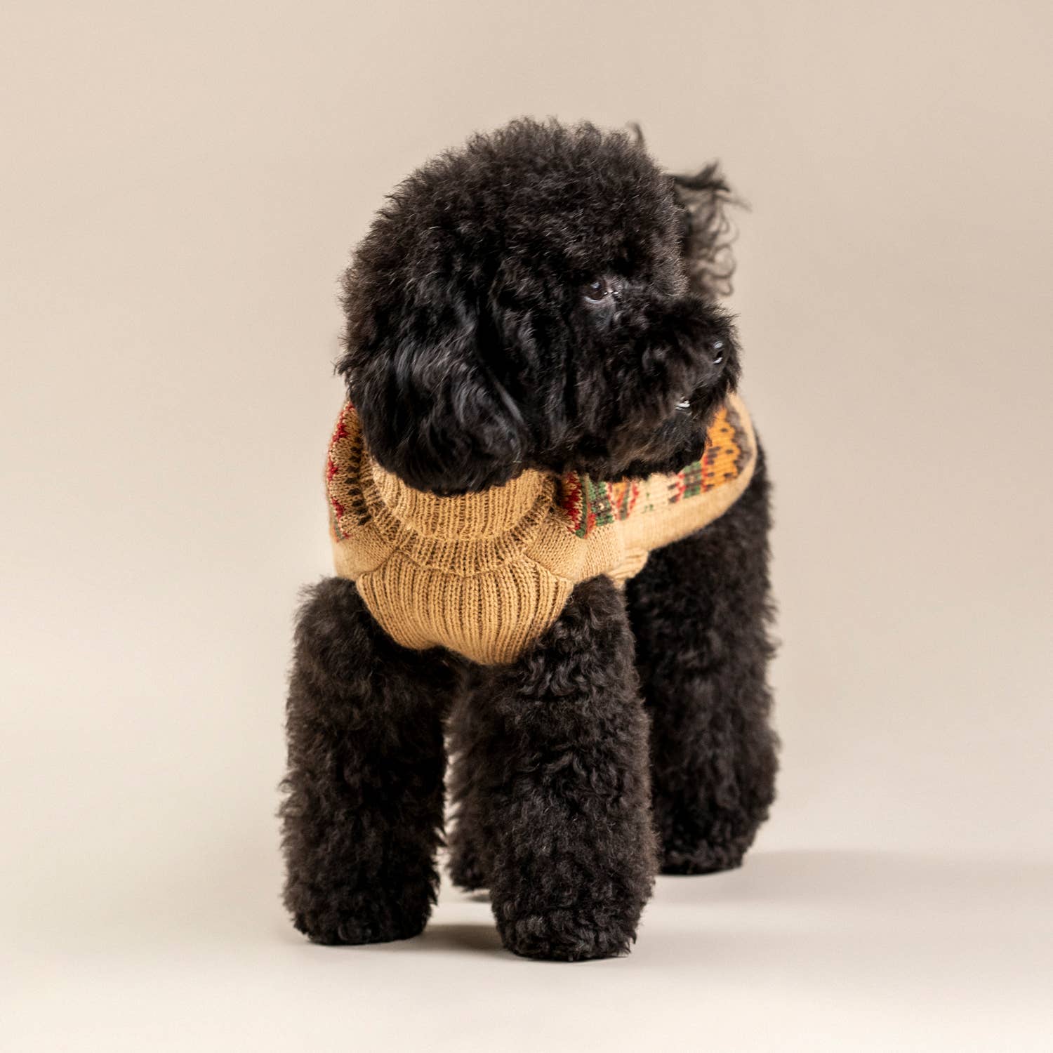 Alqo Wasi - Wholesale Pet Sweater - Dog - Fair Isle Finn Alpaca Dog Sweater6