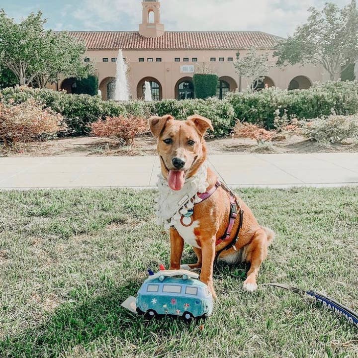 Woof & Co. - Wholesale Pet Plush Toy - Dog - Hippie Van12