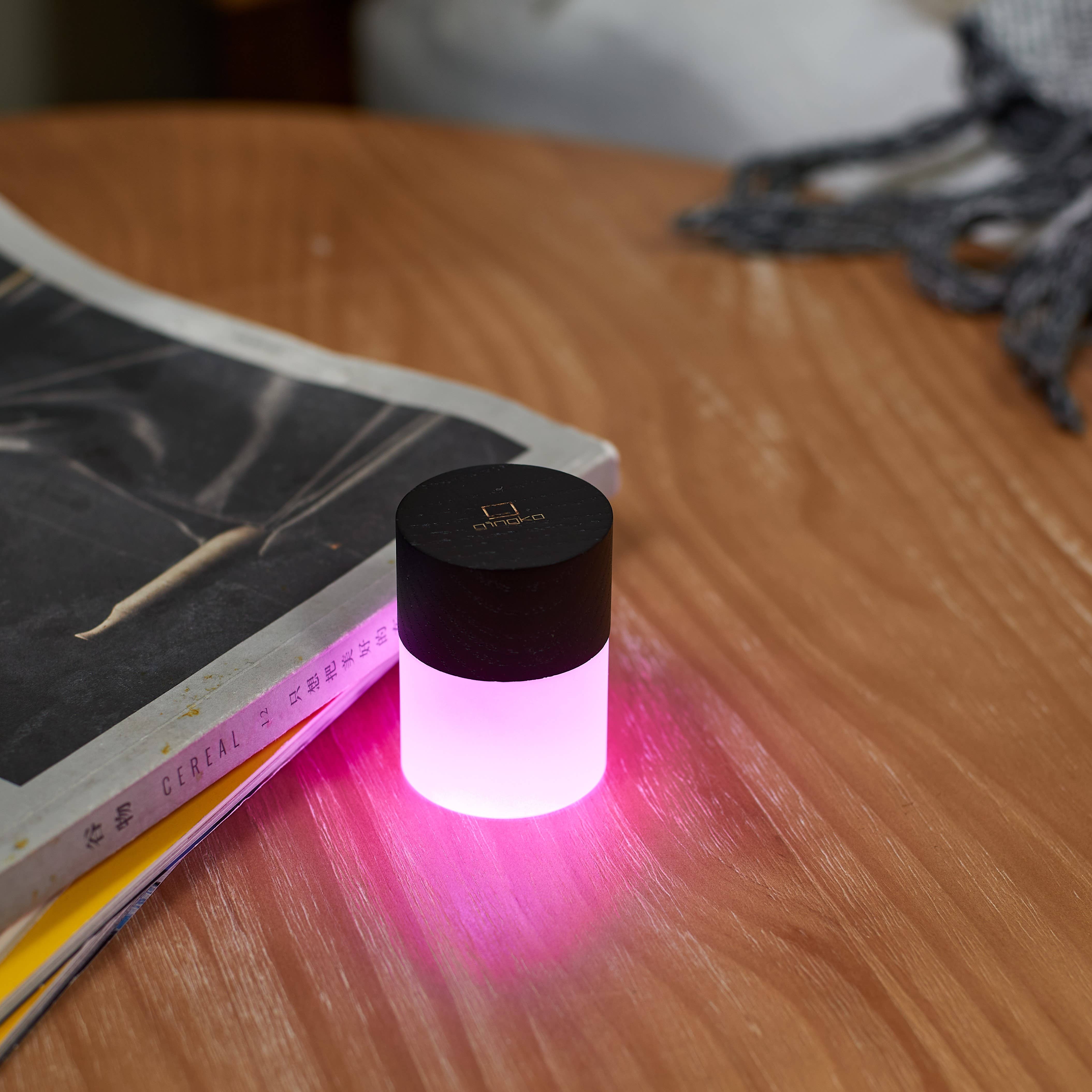 Gingko Design - Wholesale Accent/Desk Lamp - Lemelia Light15