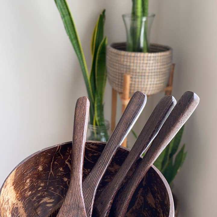 Briut Essentials – wholesale Skål – Kokos skål + kokosnöt