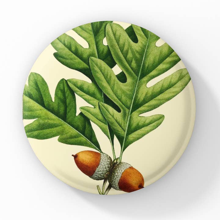 Acorn Pin Button, Acorn Keychain, Acorn Magnet for wholesale by NatureCuts