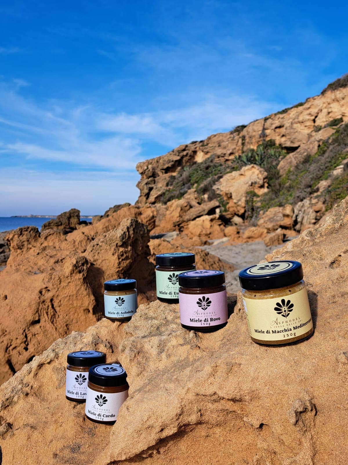 Asphodel - Wholesale Honey - Ocarittu - Eucalyptus Honey - Made in Italy 250g6