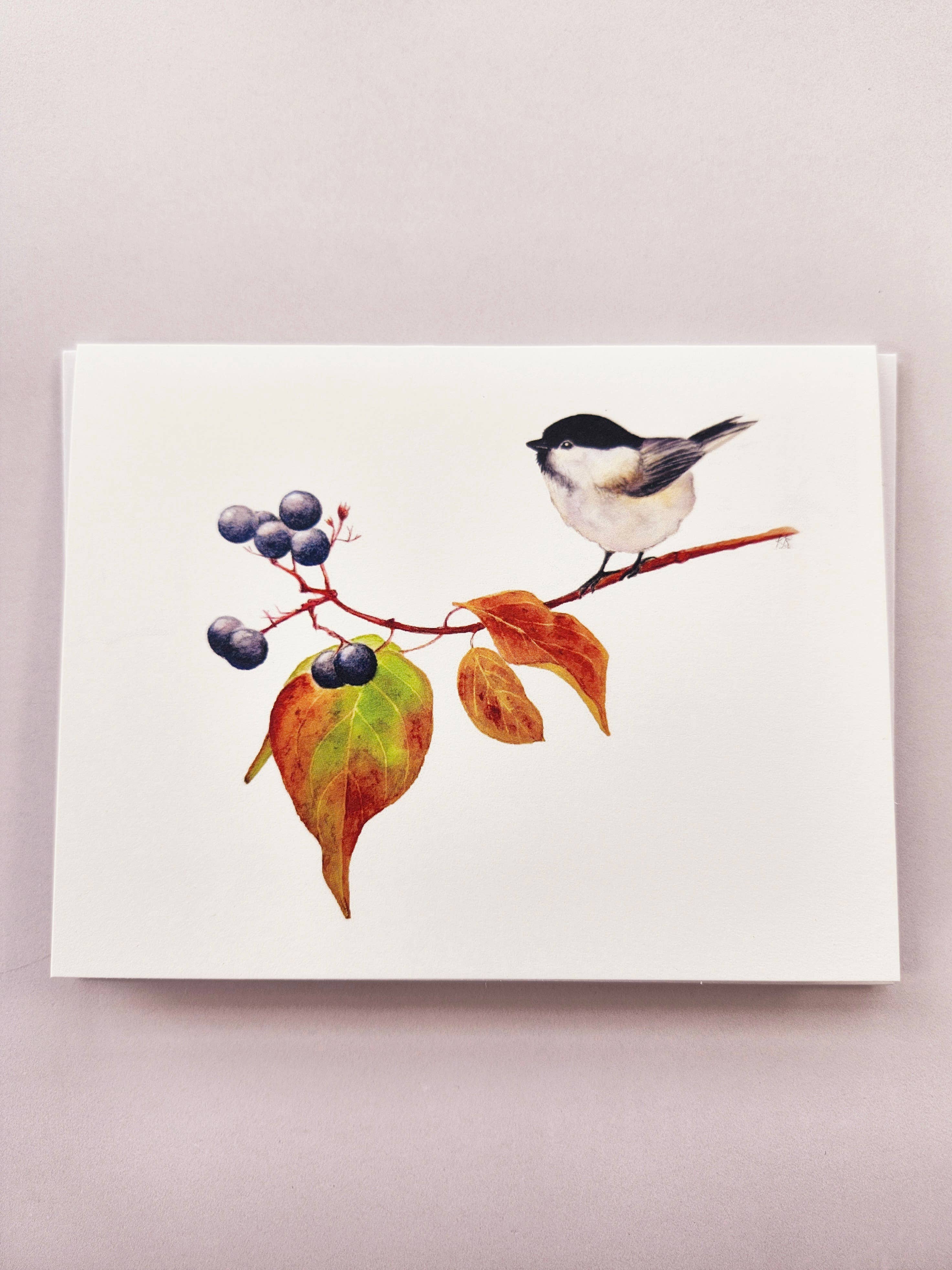 Redbriar Studio - Wholesale Stationery/Notecard Set - Notecards0