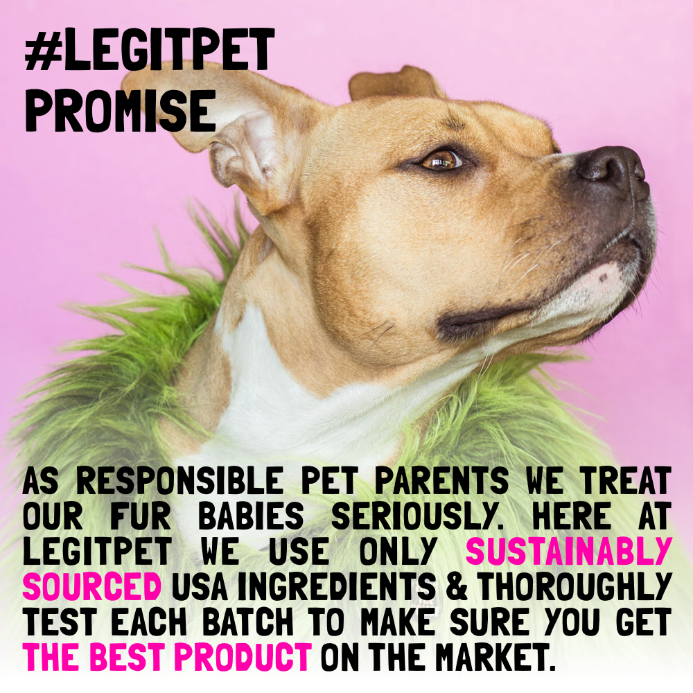 LEGITPET - Wholesale Pet Supplement - Dog - Probiotic for Dogs - with Natural Digestive Enzymes8