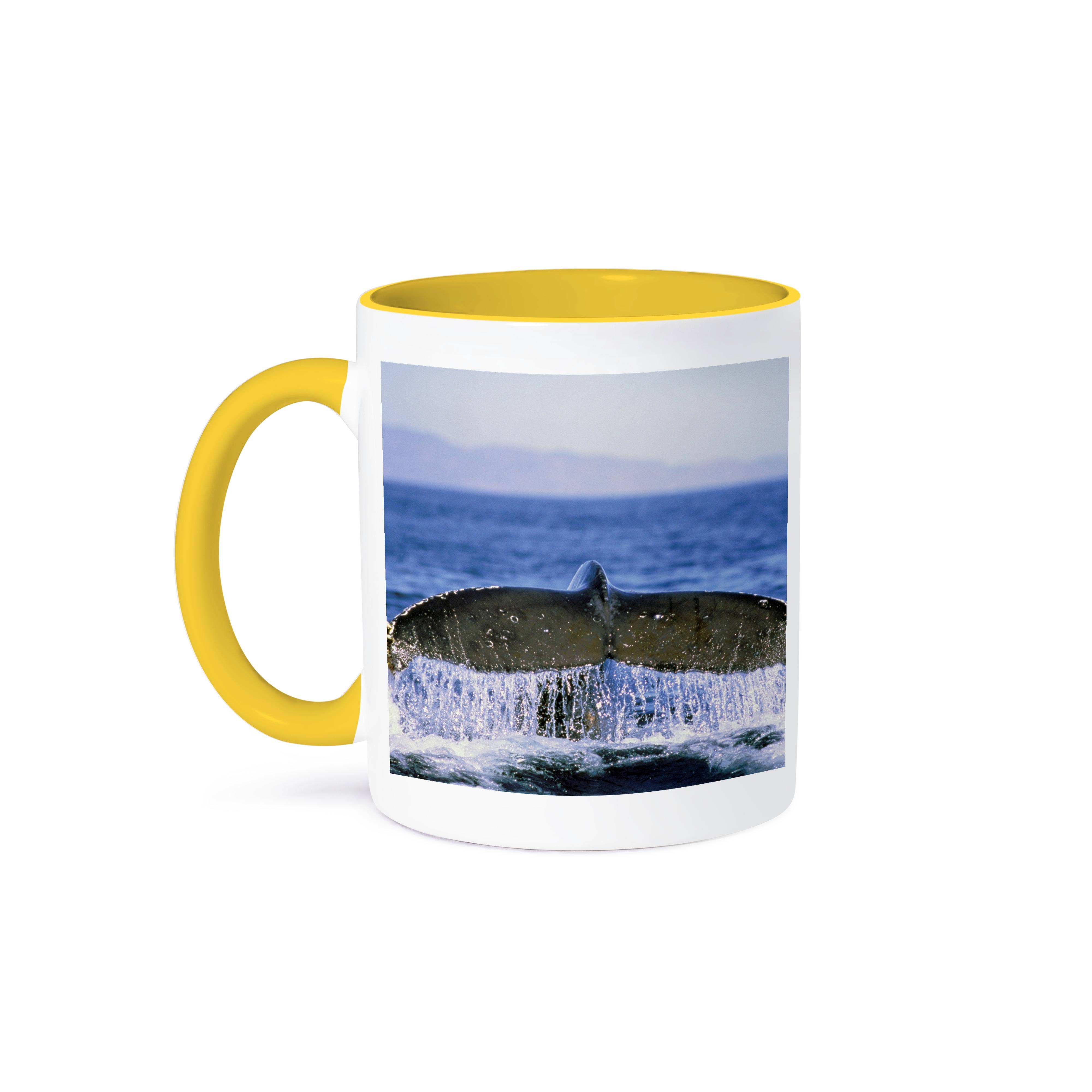 3dRose - Wholesale Coffee Mug - 3dRose, Humpback whale tail - NA02 ANA0023 - Amos Nachoum, Mug0